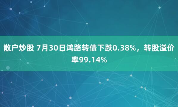 散户炒股 7月30日鸿路转债下跌0.38%，转股溢价率99.14%