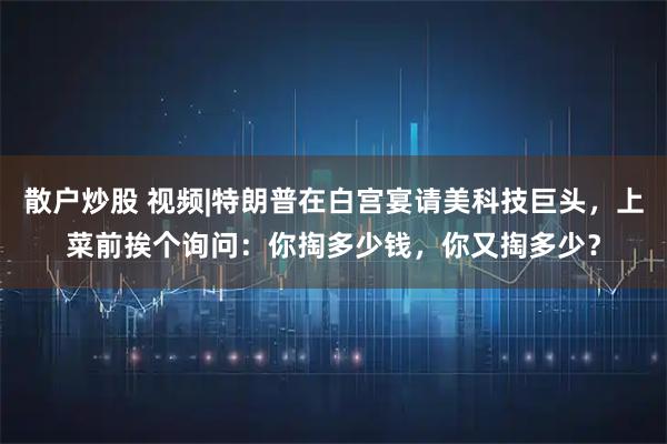 散户炒股 视频|特朗普在白宫宴请美科技巨头，上菜前挨个询问：你掏多少钱，你又掏多少？